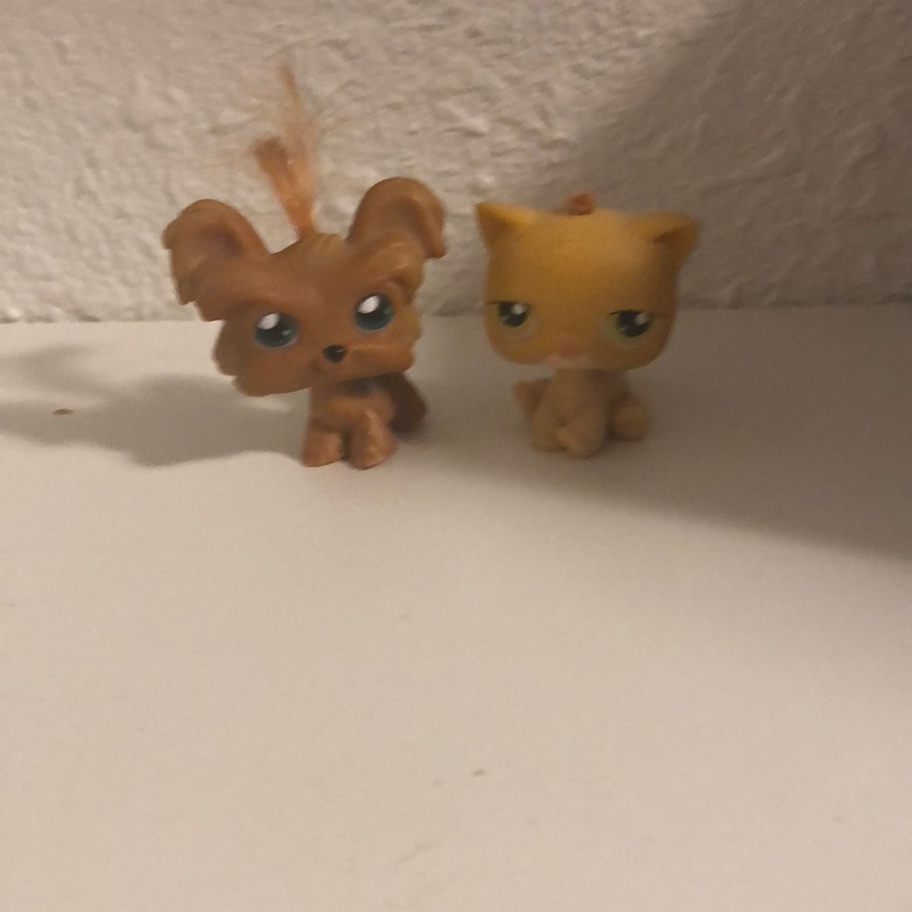 Hairy lps